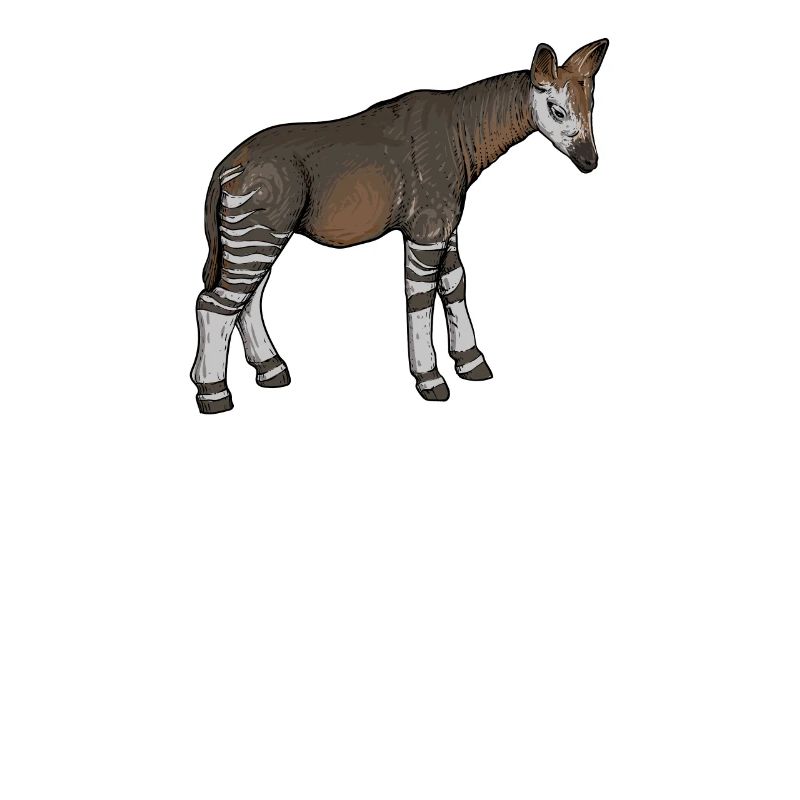 Okapi I girafe de la forêt tropicale pour