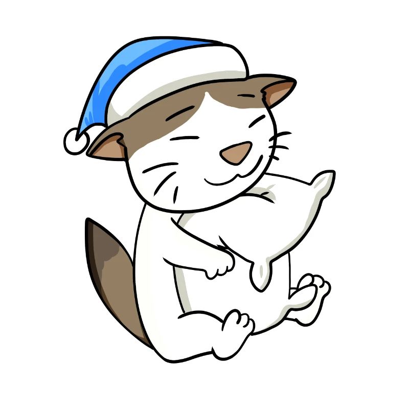 Chat race de chat RagaMuffin