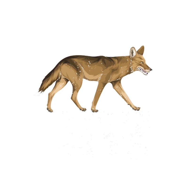 Conception de coyote pour les réacteurs de coyote