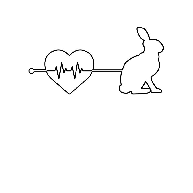 Rabbit heartbeat