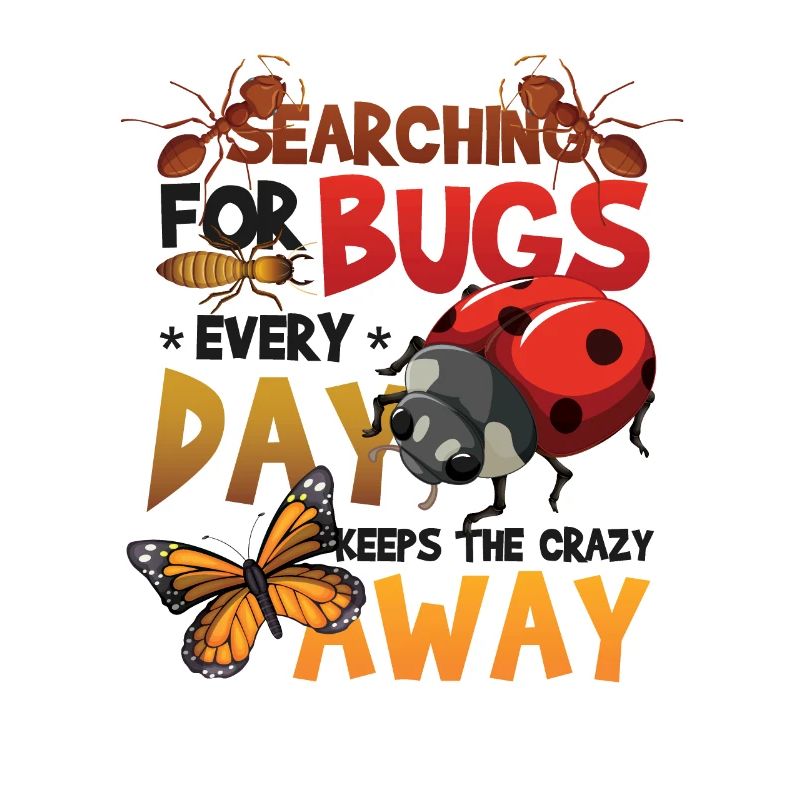 Recherche d’insectes