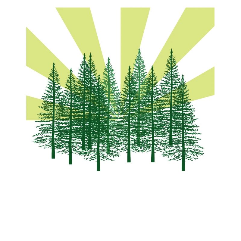 Rays Forest Fir Wilderness Ecology Atom Environment