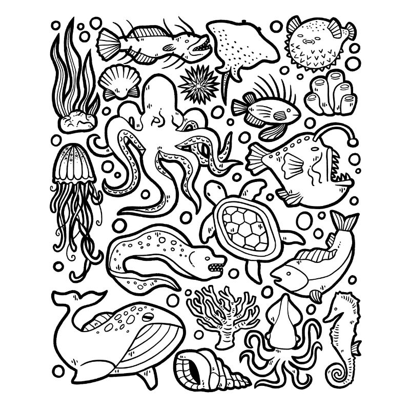 Deep Sea Fish Octopus Frogfish Lanternfish