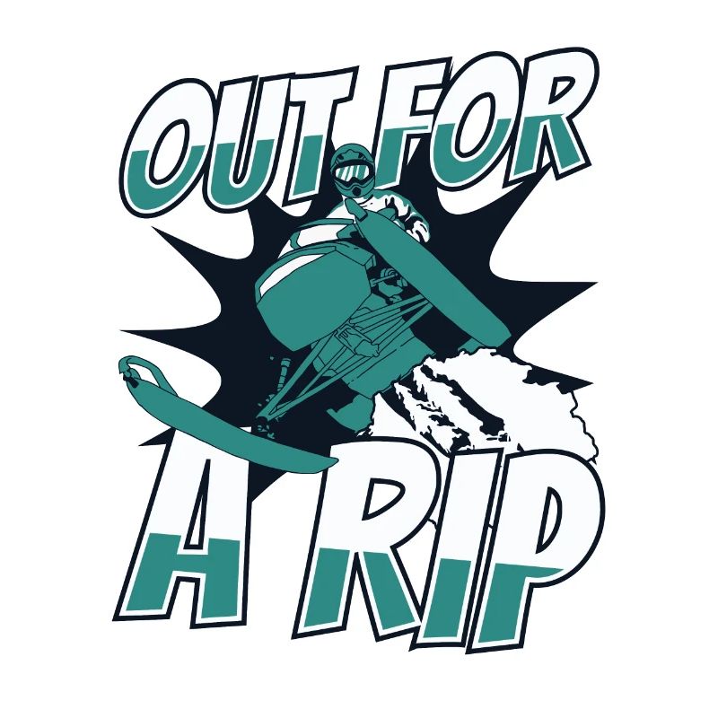 Out for A Rip Snowmobile Snowmobile Drivers