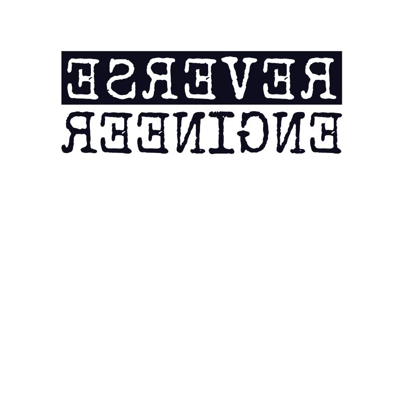 Reverse Engineer Software Engineer Developer