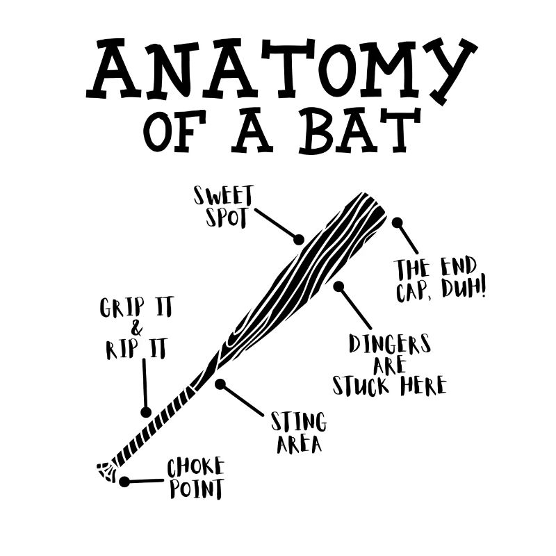 Anatomie eines Fledermaus -Baseballspieler -Baseba