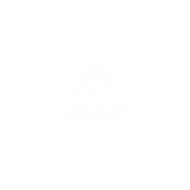 Mousse extinctrice de pompier