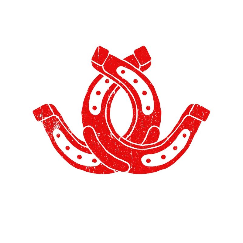 Master Pitcher Horseshoe Pitching