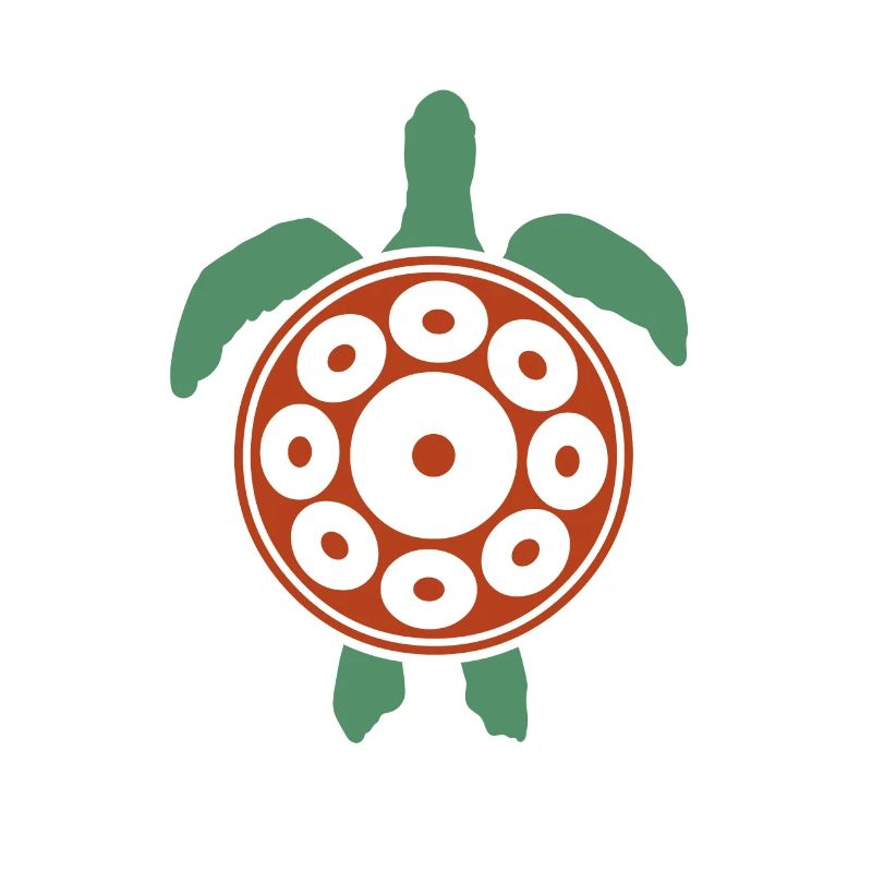 Play Handpan Turtle Handpan