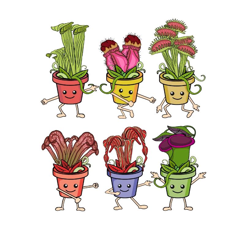 Carnivorous plants Venus flytrap