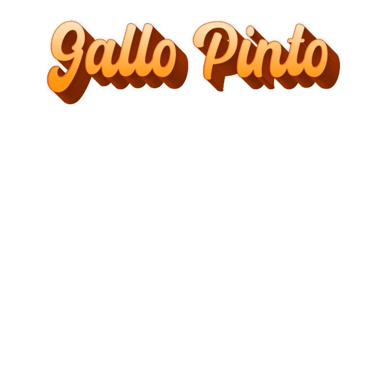 Gallo Pinto Plat parfait de riz et de haricots