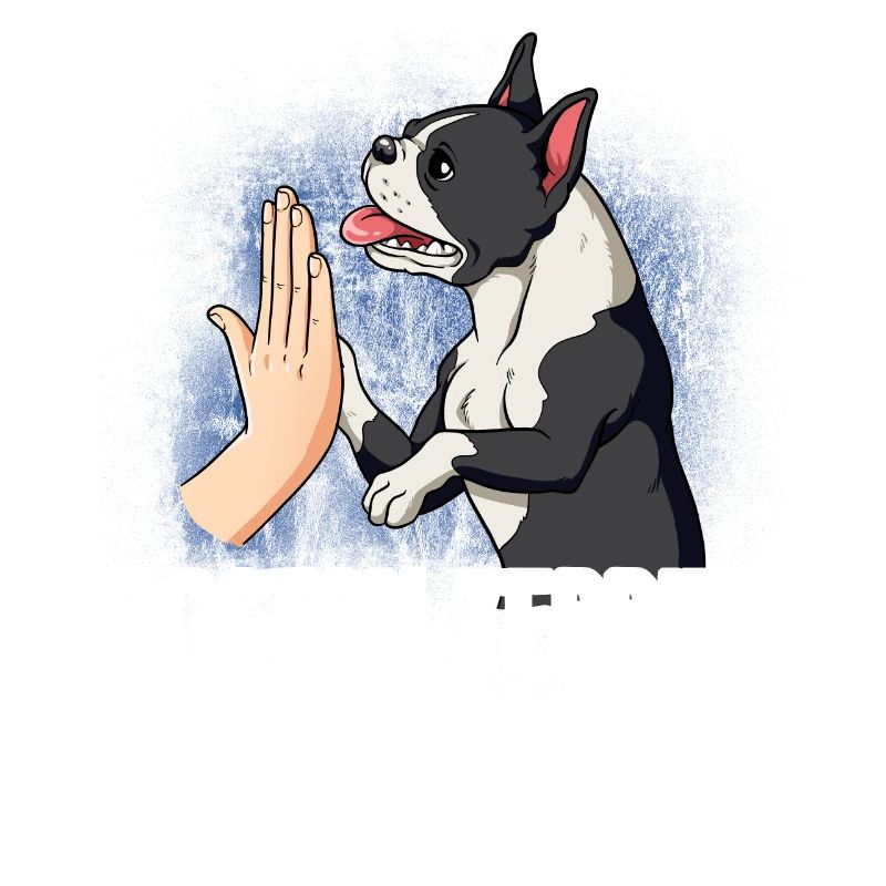 Boston Terrier