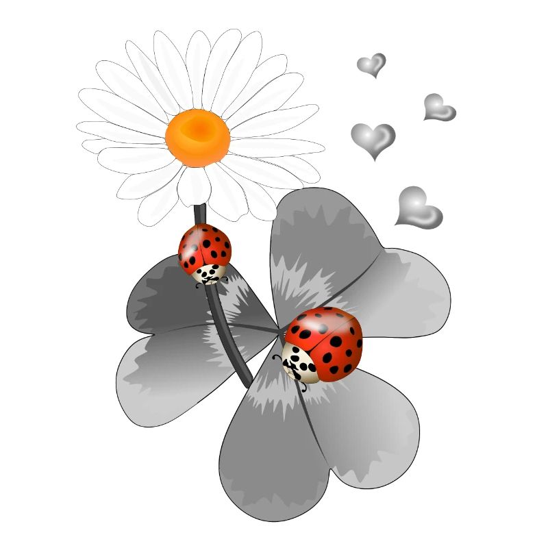 Clover with ladybug