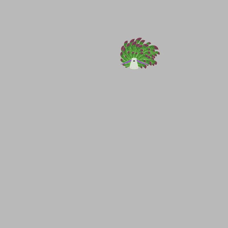 Nudibranches nudibranches