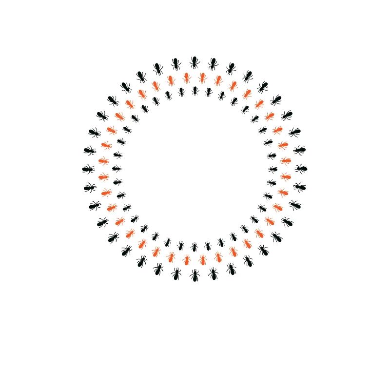 Ants Circle Formation Crawling Insects