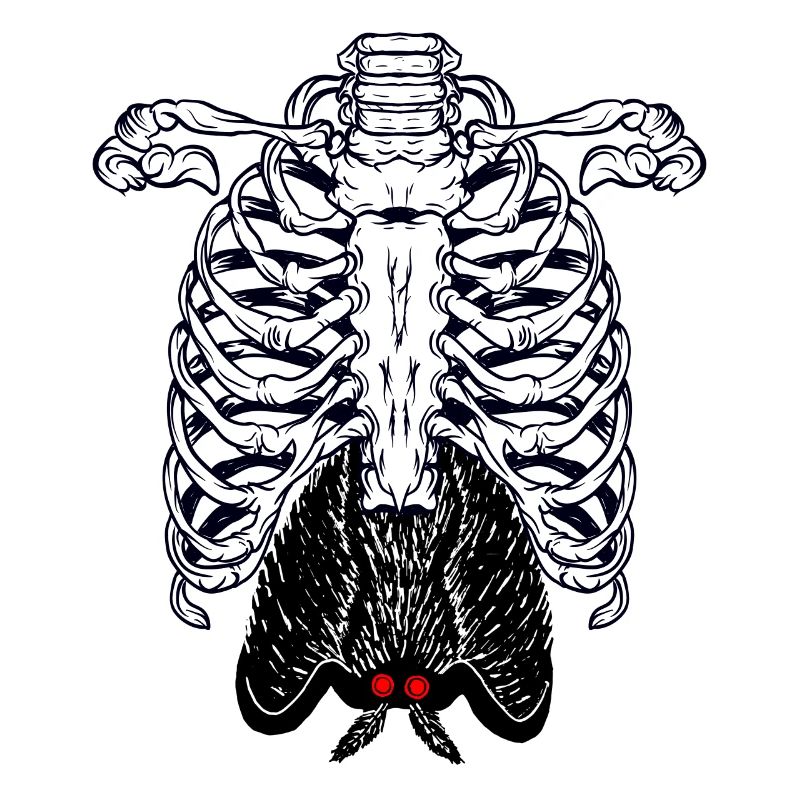 Mothman Skeleton Cryptid Cryptozoology