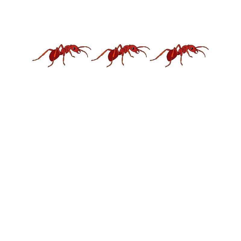 Fourmis fourmilières d’élevage de fourmis