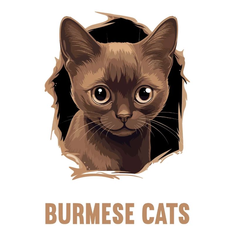 Chat birman Birmanie Katze