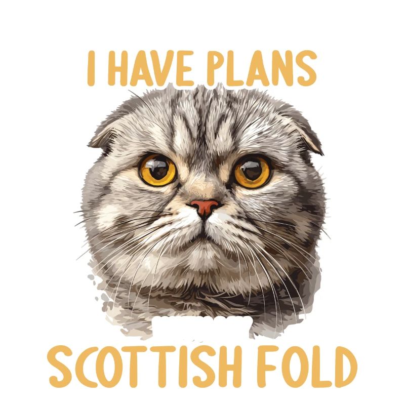Scottish Fold Kitten Scottish Fold Cat