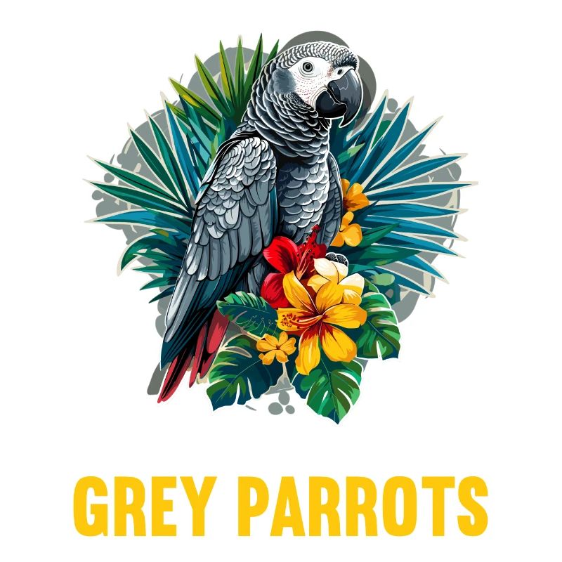 Perroquets gris d’Afrique