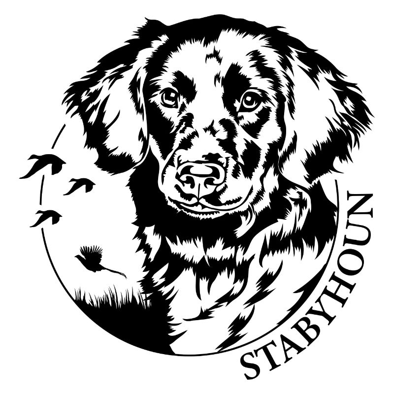 Stabyhoun Jagdhund Jäger Jagdhunde Jagd Wilsigns