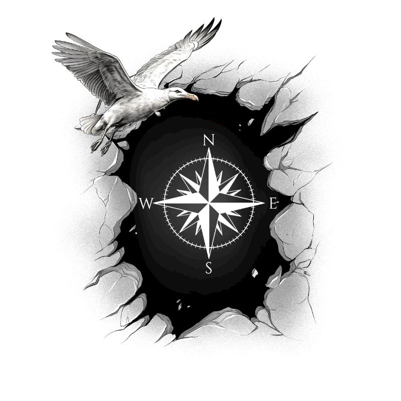 maritime seagull compass seagulls wind rose