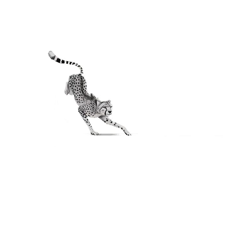Guépard