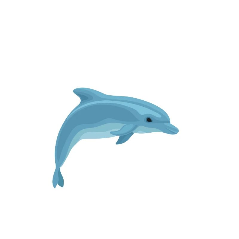 Easily distracted by dolphins
