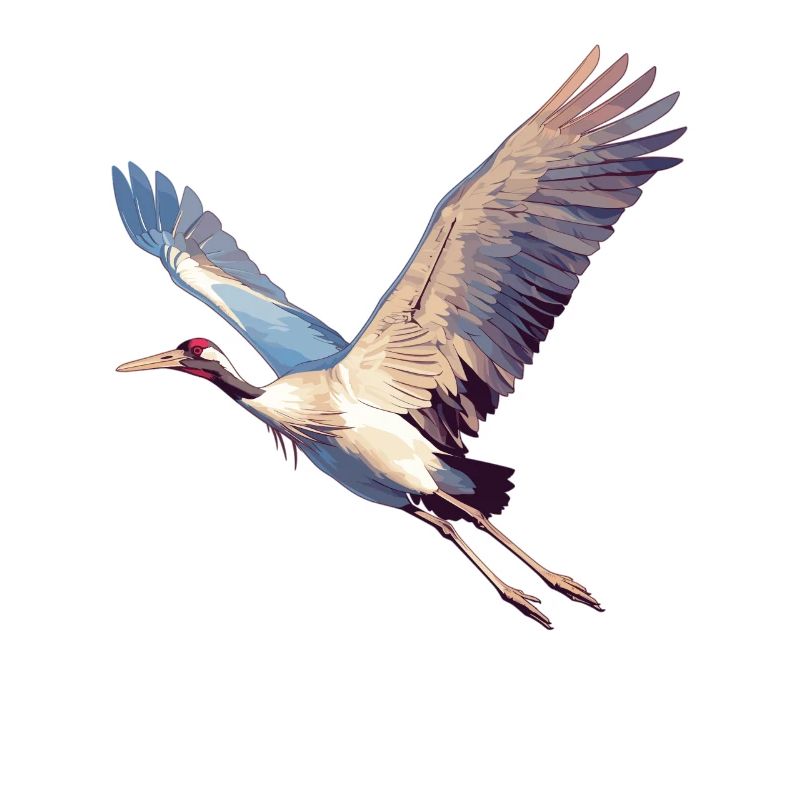 Cranes Crane