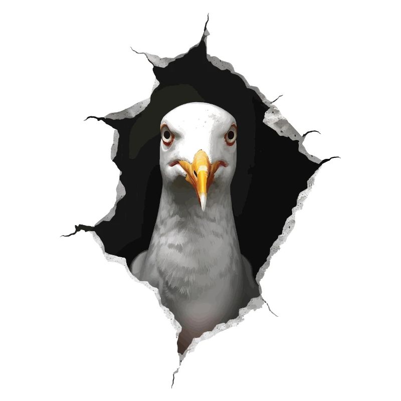 Möwe