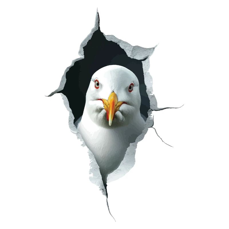 Möwe
