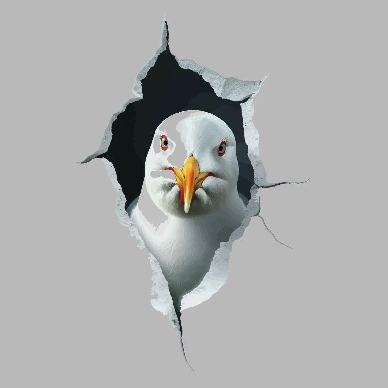 Möwe