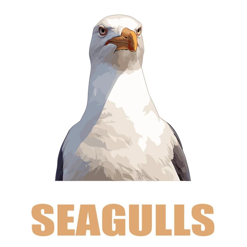 Seagulls Seagull