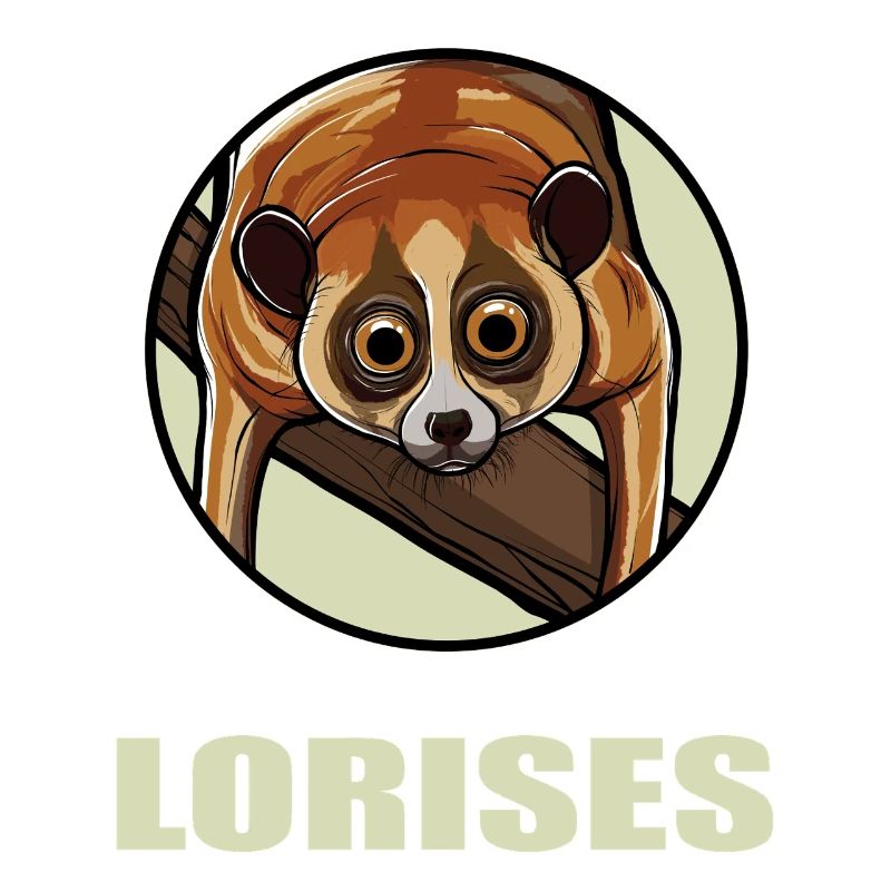 Slow lorises Loris