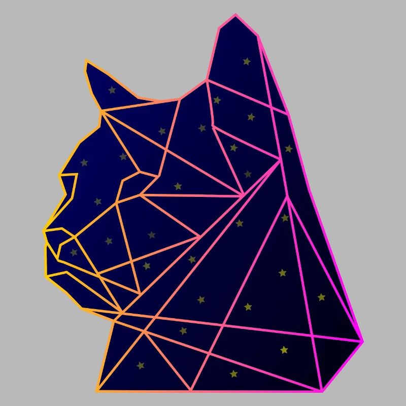 Space Cat