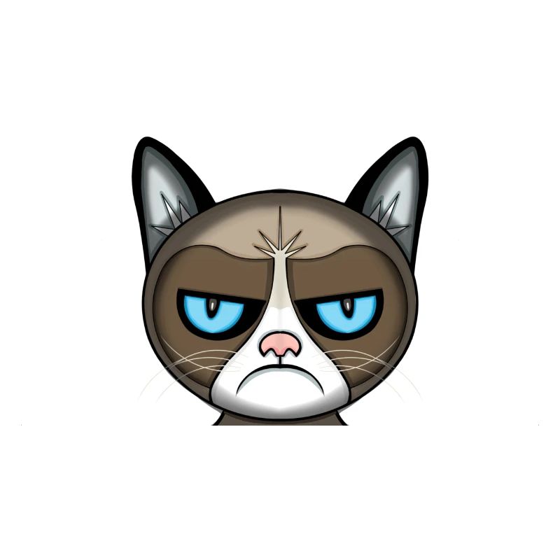 angry cat