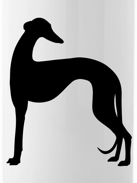 galgo shape2