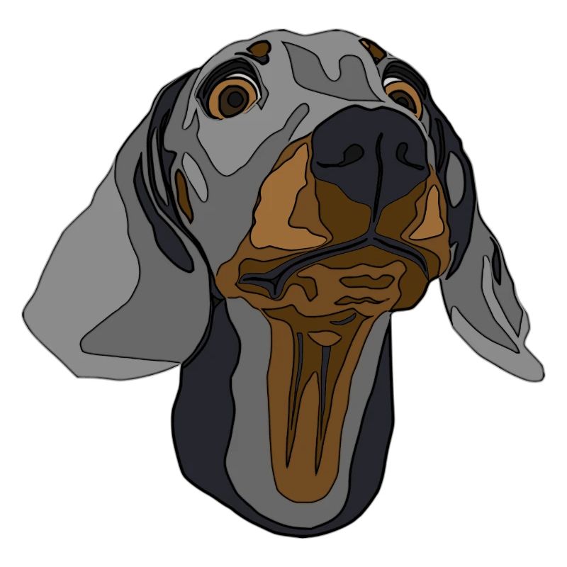 Teckel, chien de toit
