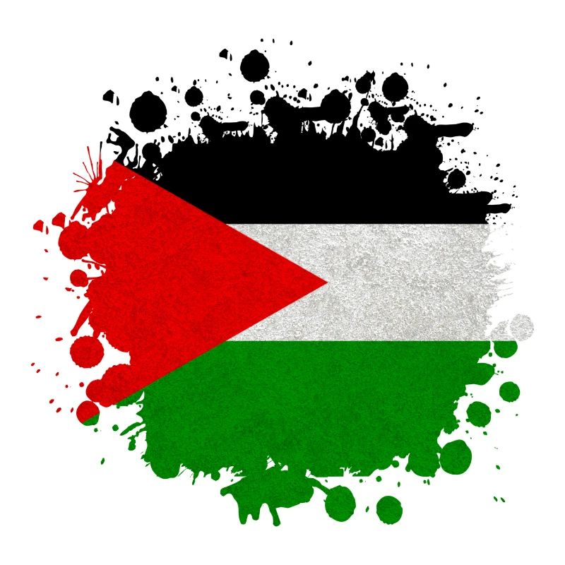 Palestine Blobs / Flag Gift Islamabad