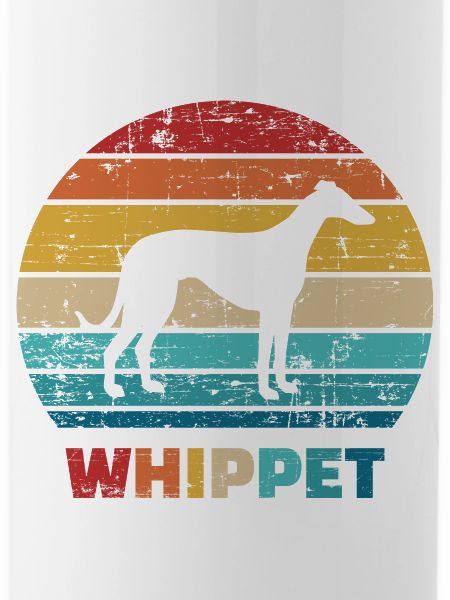 Whippet