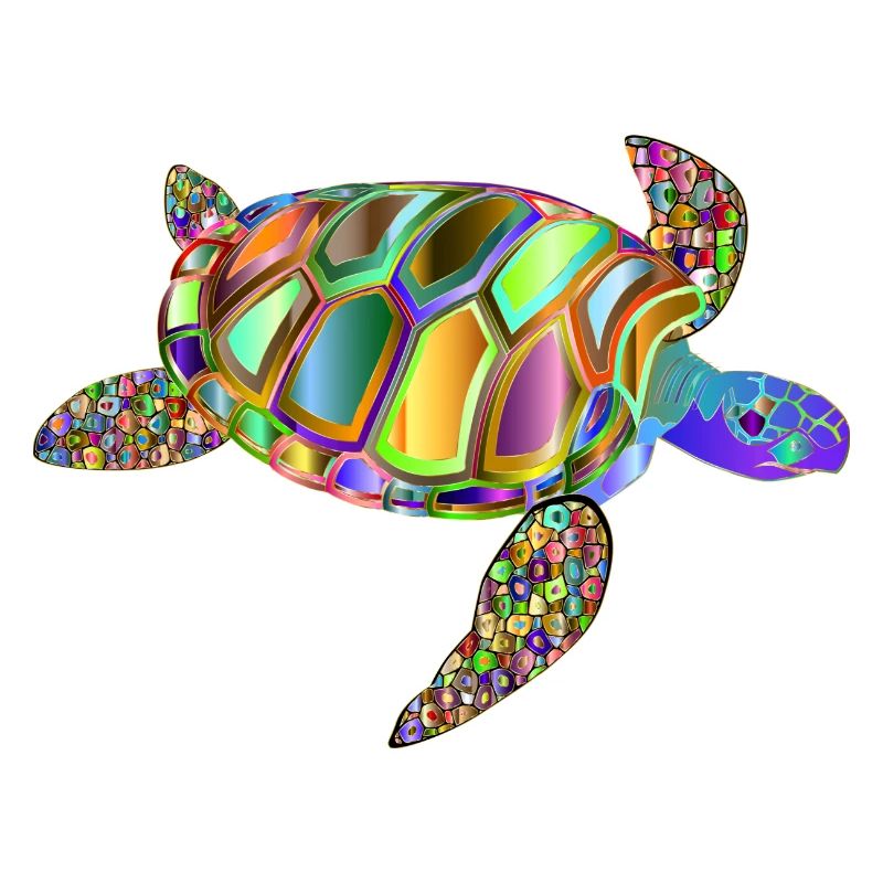 turtle / RAINBOW TURTLE