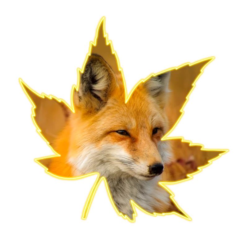 Fox leaf silhouette