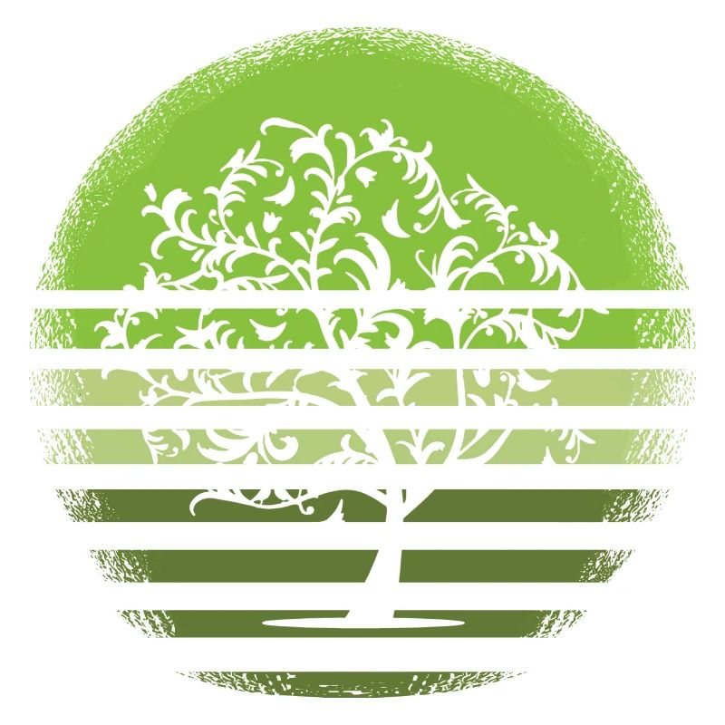 Nature White Tree Retro Deciduous Tree Sunset D