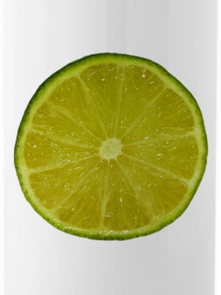 Lime Slice