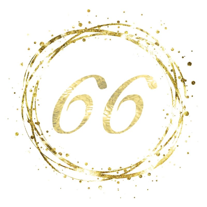 66