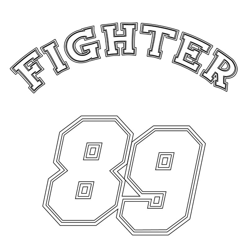Fighter