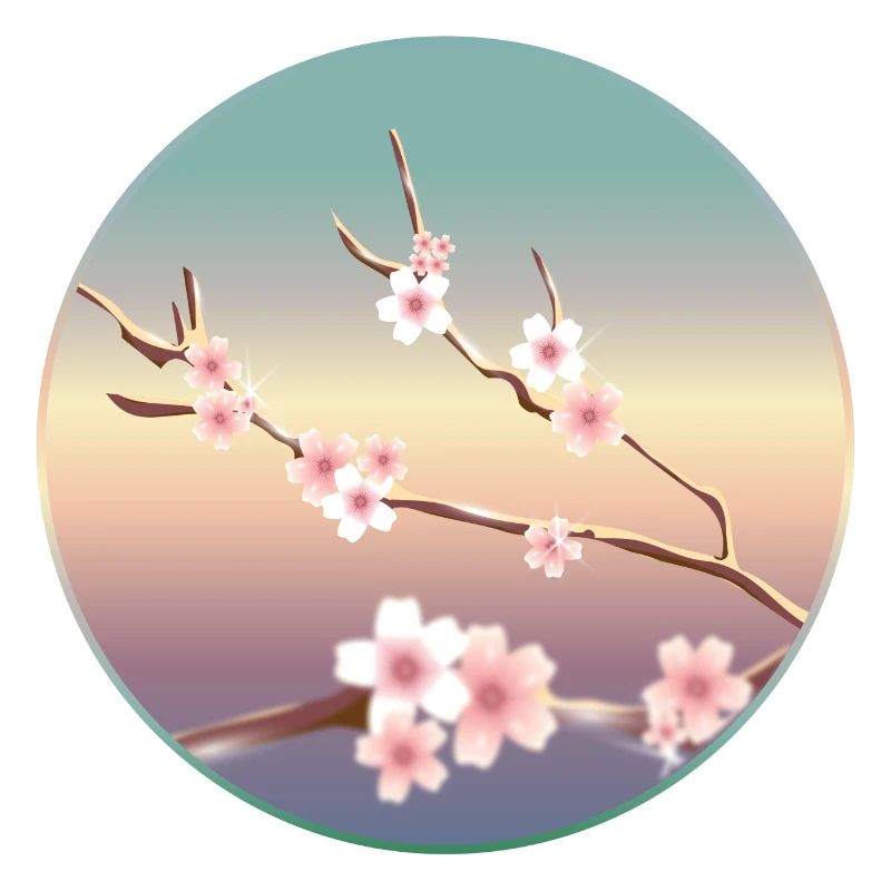 delicate cherry blossoms on a branch in spring