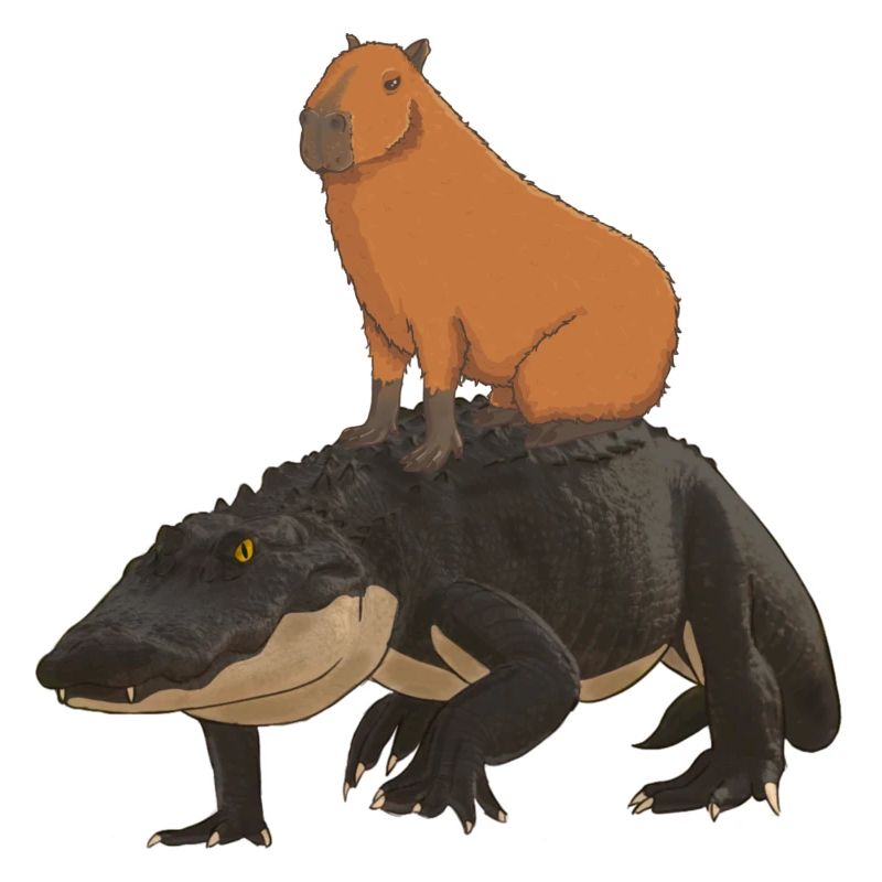 Capybara Crocodile