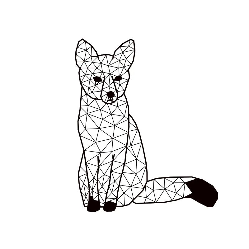 Foxx GeomeTRIX