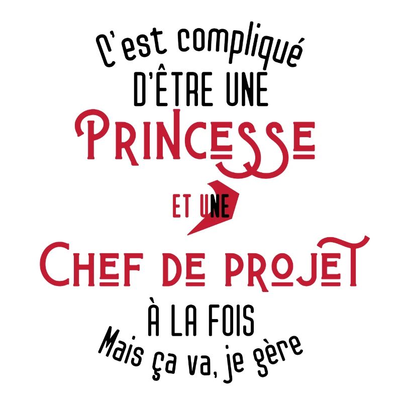 C'est compliqué d'être Princesse Chef de Projet